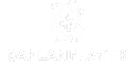 Şahlan Plastik